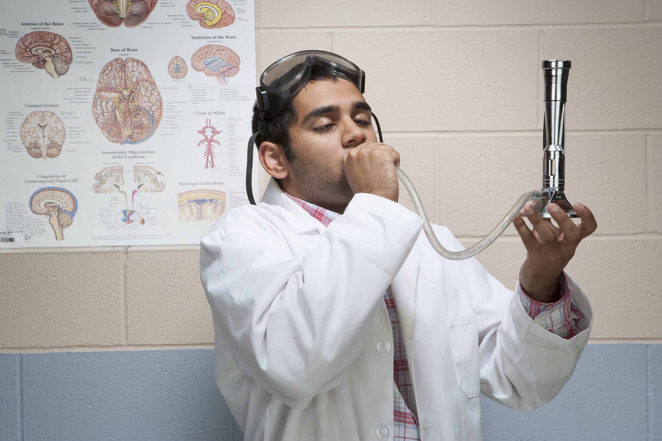 Aging effects of marijuana on the brain