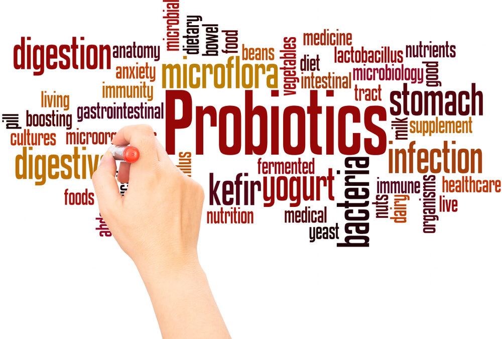 Why Take Probiotics?