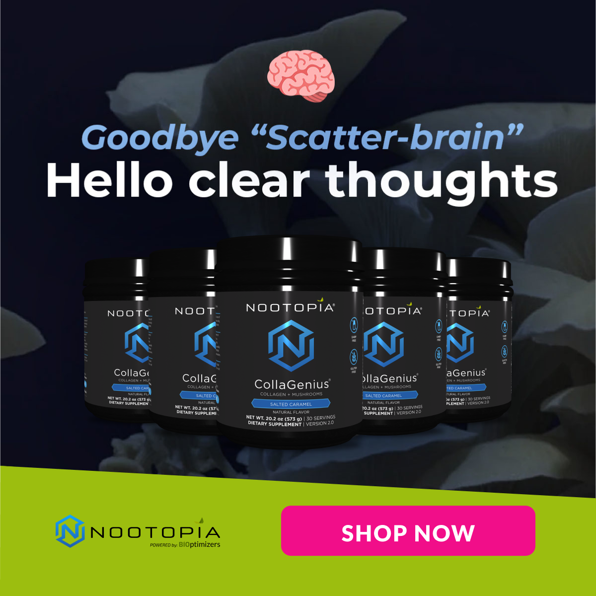 Unlocking Your Brain’s Potential: The Natural Power of Nootropics